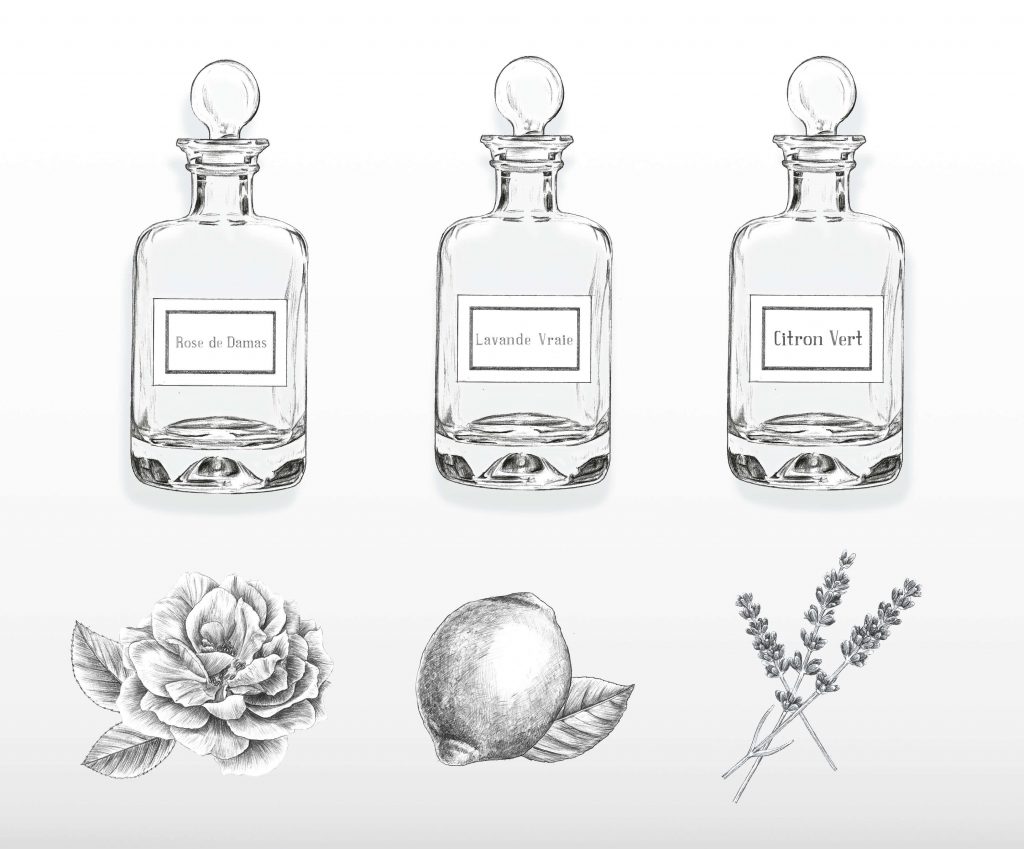 Illustration packaging cosmétique, parfum, huiles essentielle, illustration beauté