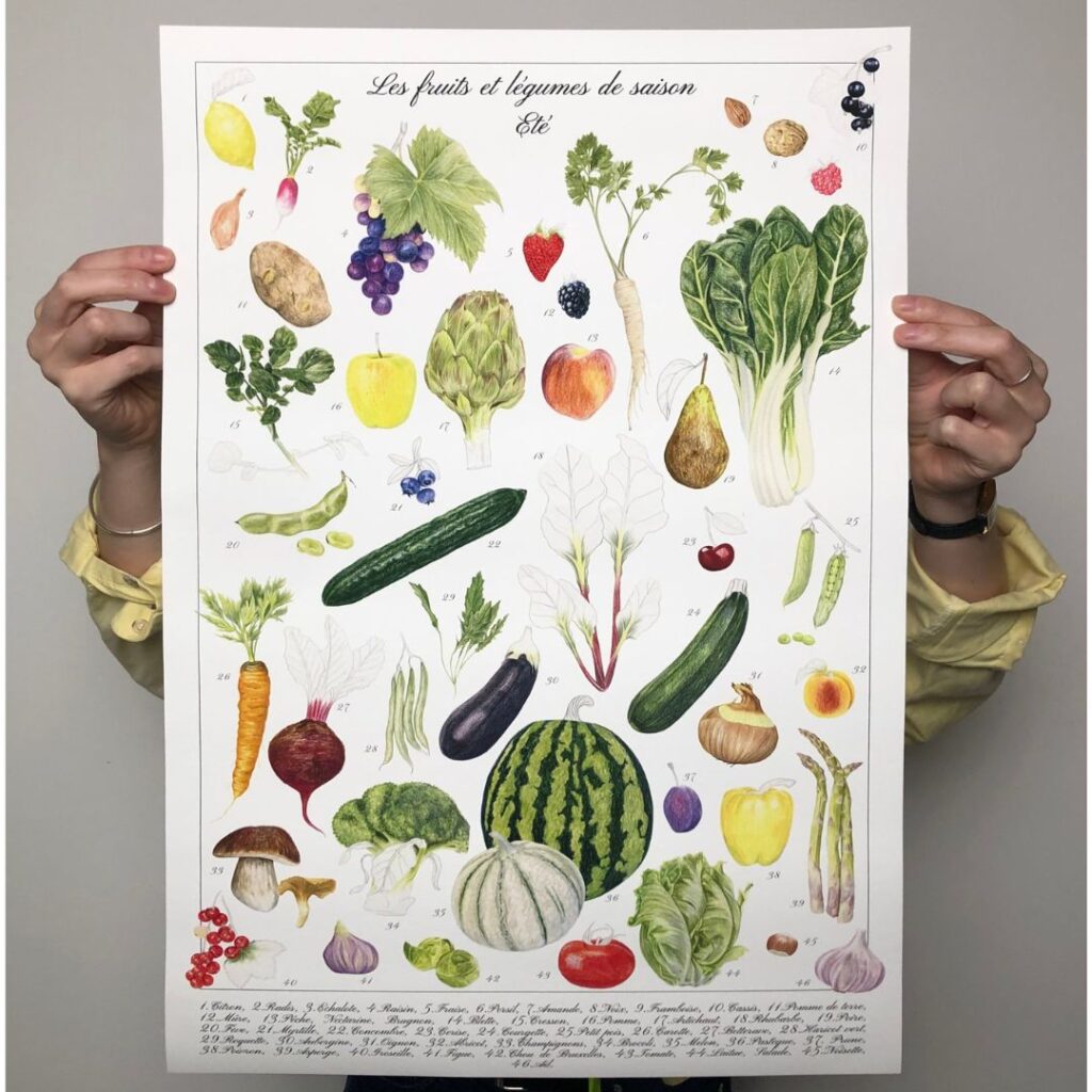 les fruits et légumes de saison, illustration originale Alicia Pénicaud, illustration botanique, planche naturaliste, planche pédagogique, planche botanique, dessin botanique, été