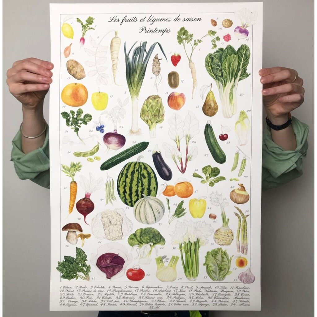 les fruits et légumes de saison, illustration originale Alicia Pénicaud, illustration botanique, planche naturaliste, planche pédagogique, planche botanique, dessin botanique, printemps